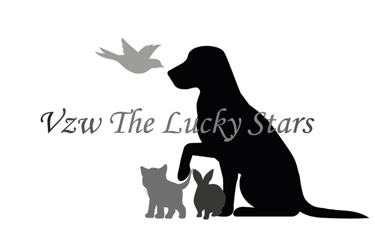 logo de "The Lucky Stars Vzw"